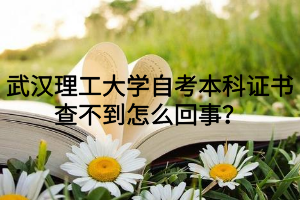 武漢理工大學自考本科證書查不到怎么回事？