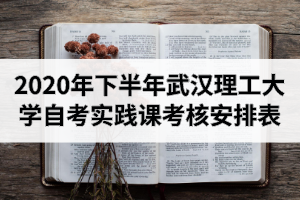 2020年下半年武漢理工大學(xué)自學(xué)考試本科實(shí)踐課考核安排表
