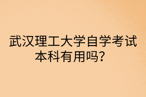 武漢理工大學自學考試本科有用嗎？