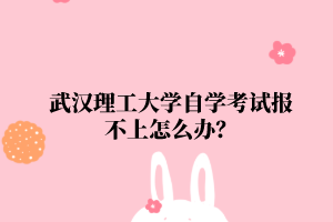 武漢理工大學自學考試報不上怎么辦？