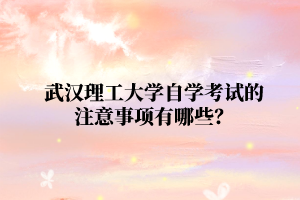 武漢理工大學(xué)自學(xué)考試的注意事項(xiàng)有哪些？