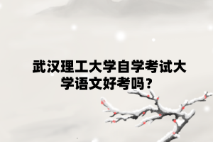 武漢理工大學自學考試大學語文好考嗎？