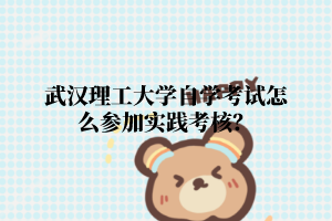 武漢理工大學自學考試怎么參加實踐考核？