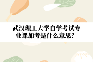 武漢理工大學自學考試專業課加考是什么意思？