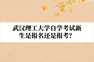 武漢理工大學自學考試新生是報名還是報考？