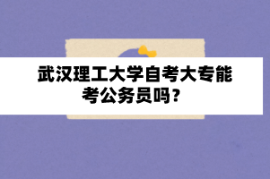 武漢理工大學(xué)自考大專能考公務(wù)員嗎？