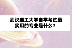 武漢理工大學自學考試最實用的專業是什么？